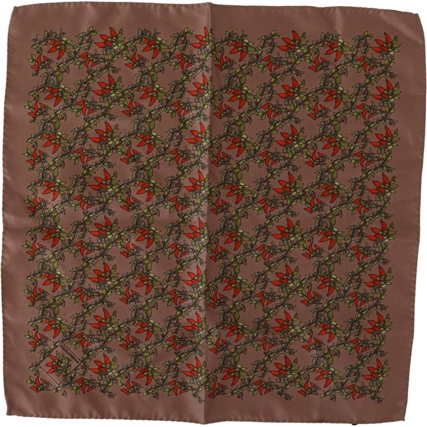 Dolce & Gabbana Brown Carrots Print Silk Handkerchief