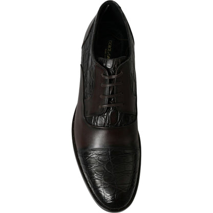 Dolce & Gabbana Brown Exotic Leather Formal Men Dress Shoes