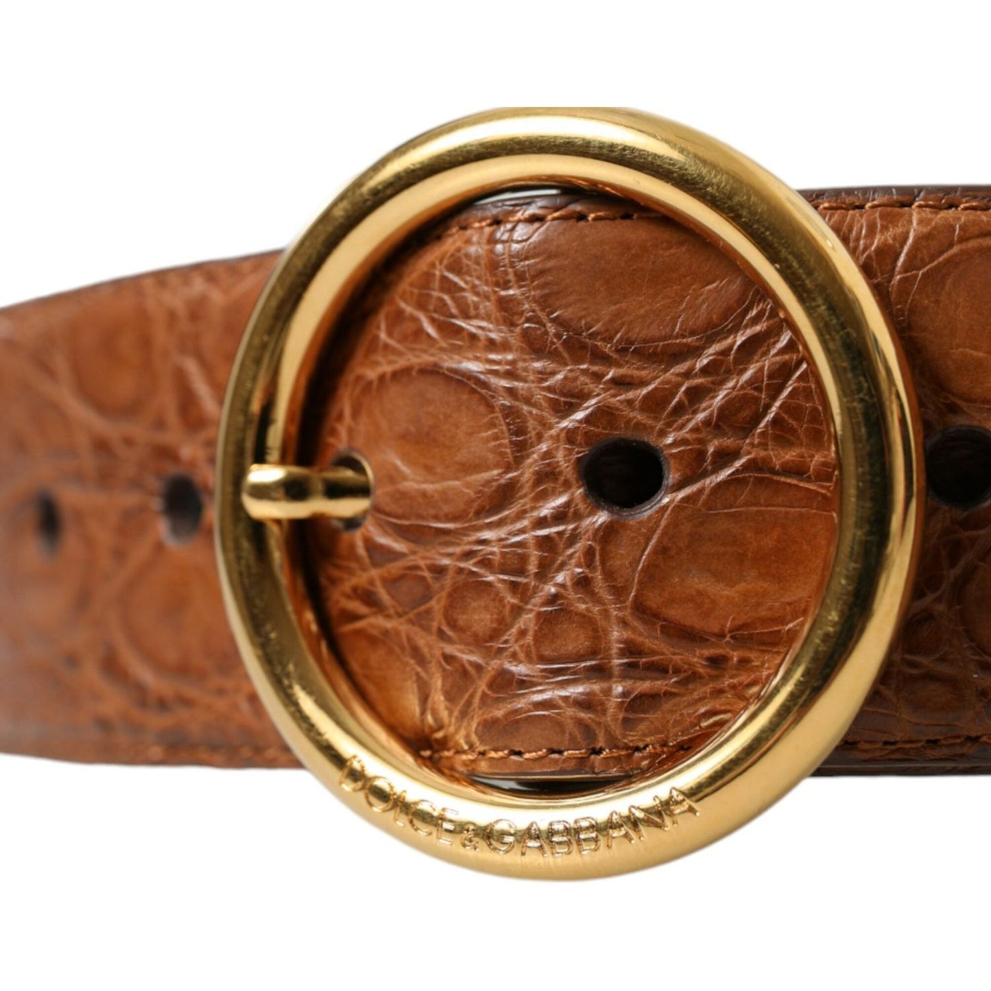 Dolce & Gabbana Brown Exotic Leather Round Buckle Belt