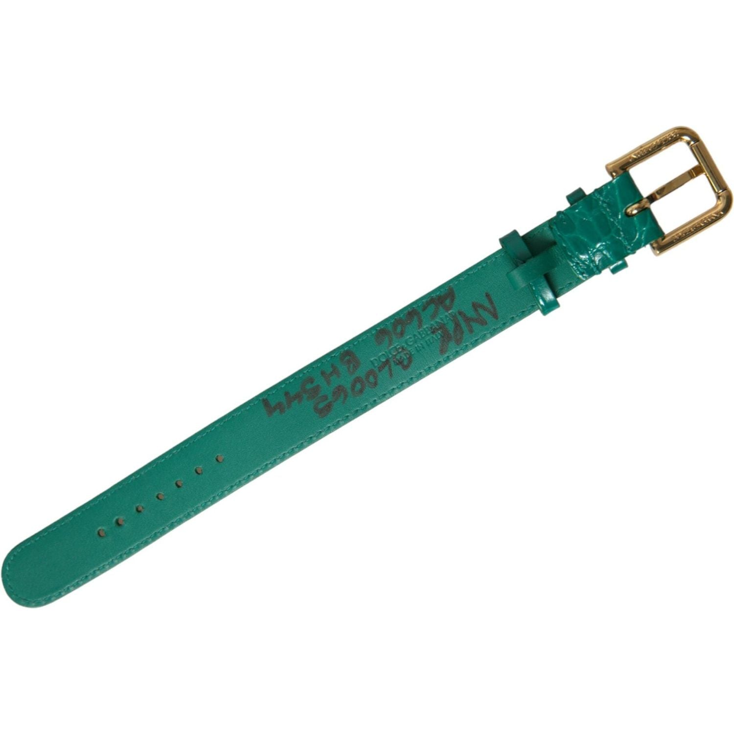 Dolce & Gabbana Green Textured Leather Gold Tone Metal Buckle Neckband