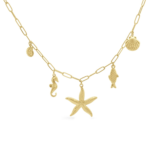 CO88 COLLECTION Mod. 8CN-26489