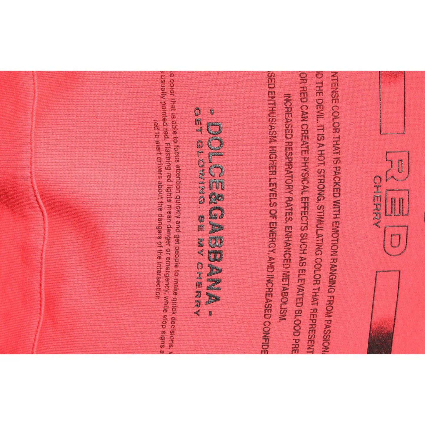 Dolce & Gabbana Red Logo Printed Hooded Sweatshirt Sweater