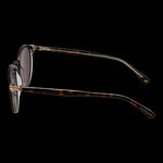 SCOTCH & SODA MOD. SS8023 51102 SUNGLASSES & EYEWEAR