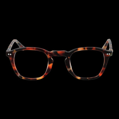 TAYLOR MORRIS MOD. W4 44C3 SUNGLASSES & EYEWEAR