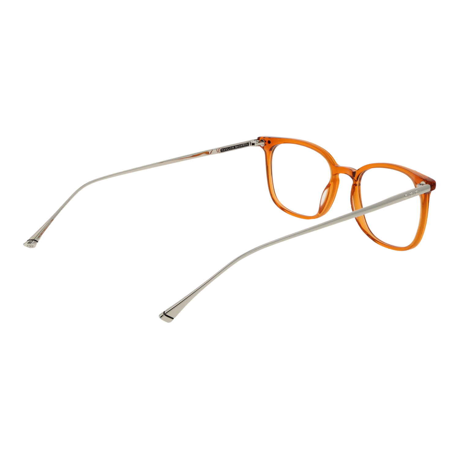 TAYLOR MORRIS MOD. TM06 49C3